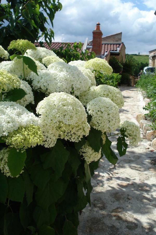 Le Logis D'Hortense Vic-le-Comte Екстер'єр фото